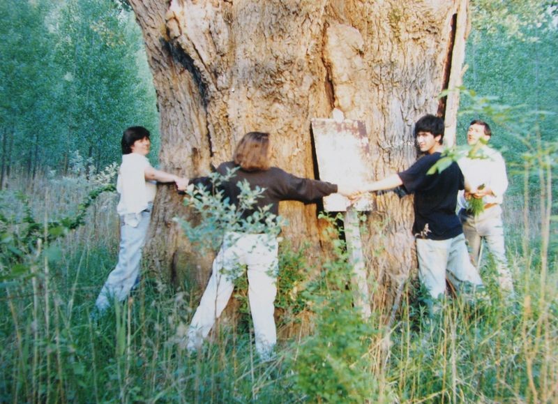 Mihály bácsi fája a 80-as években