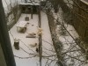 A hó hatalma/2012.02.17.
